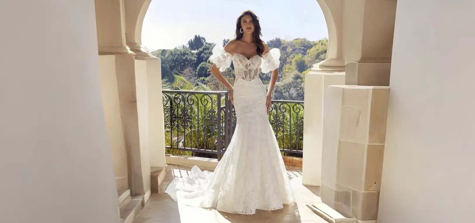 Book Your Appointment